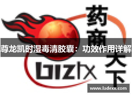 尊龙凯时湿毒清胶囊:功效作用详解 尊龙凯时湿毒清胶囊:功效作用详解