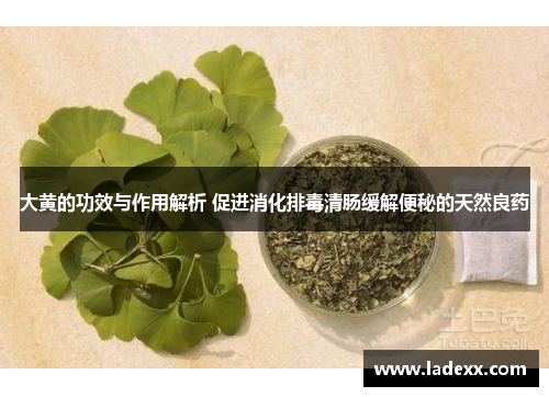 大黄的功效与作用解析 促进消化排毒清肠缓解便秘的天然良药 大黄的功效与作用解析 促进消化排毒清肠缓解便秘的天然良药
