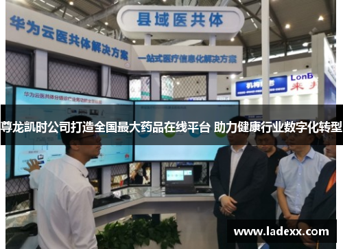 尊龙凯时公司打造全国最大药品在线平台 助力健康行业数字化转型 尊龙凯时公司打造全国最大药品在线平台 助力健康行业数字化转型