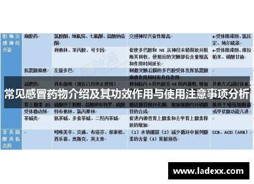 常见感冒药物介绍及其功效作用与使用注意事项分析 常见感冒药物介绍及其功效作用与使用注意事项分析