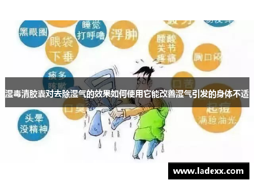 湿毒清胶囊对去除湿气的效果如何使用它能改善湿气引发的身体不适 湿毒清胶囊对去除湿气的效果如何使用它能改善湿气引发的身体不适