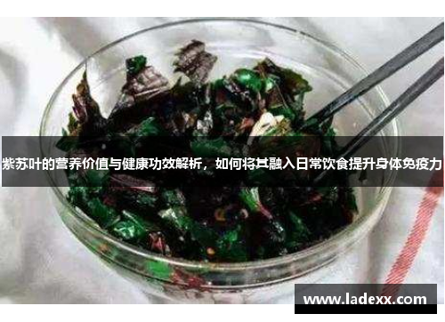 紫苏叶的营养价值与健康功效解析,如何将其融入日常饮食提升身体免疫力 紫苏叶的营养价值与健康功效解析,如何将其融入日常饮食提升身体免疫力